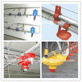 Full Set High Quality Automatic Poultry Equipment for Poultry Farm House